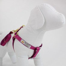 peitoral americano seda